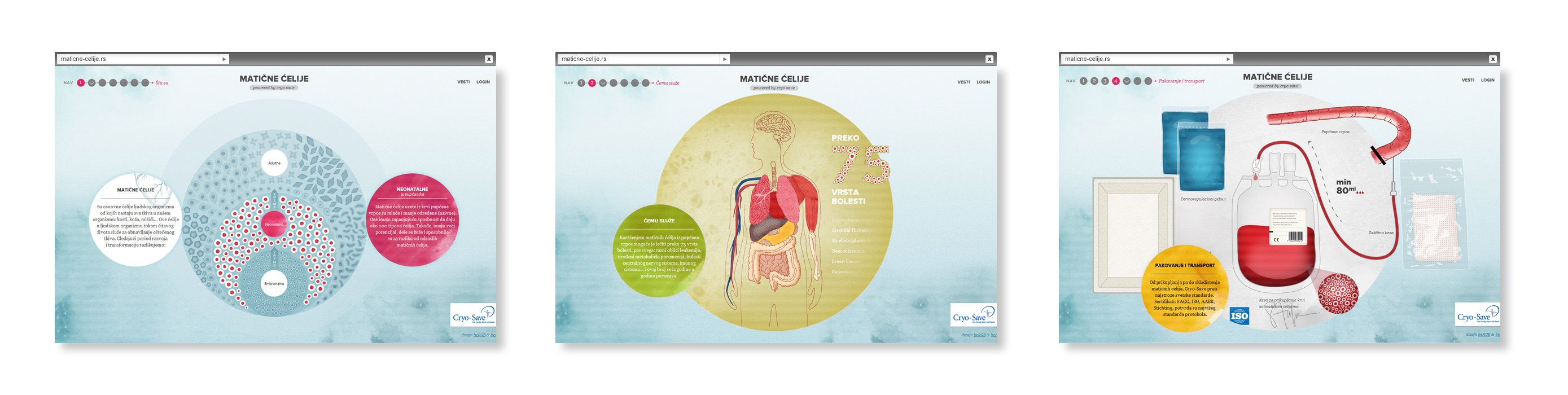 What are stem cells