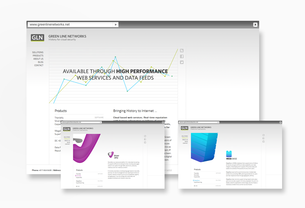 Green Line Networks website